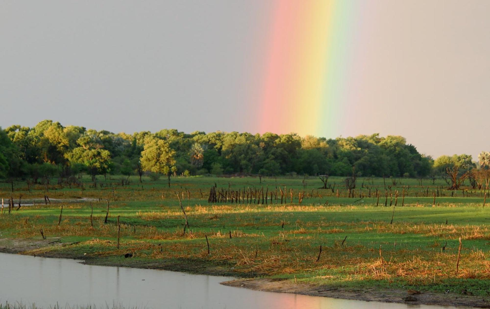 Island Safari Lodge Maun Buitenkant foto