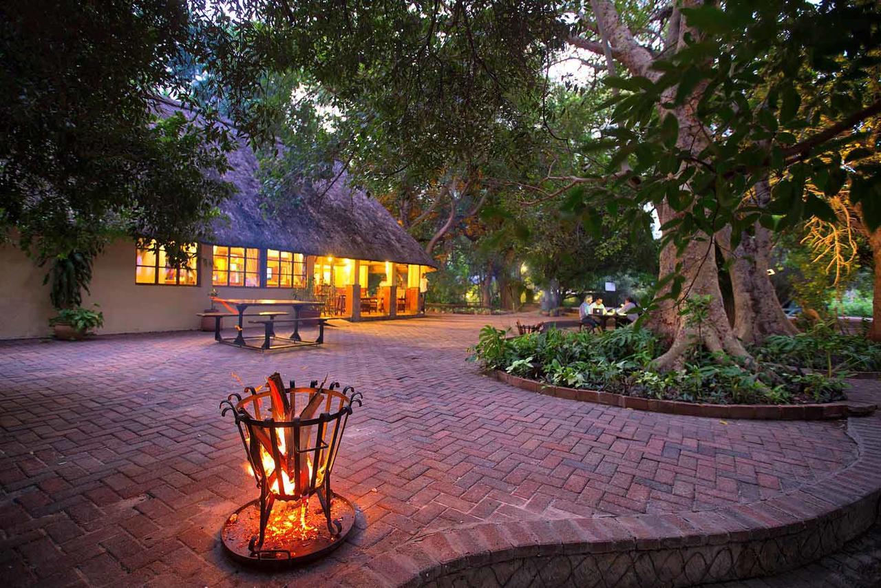 Island Safari Lodge Maun Buitenkant foto