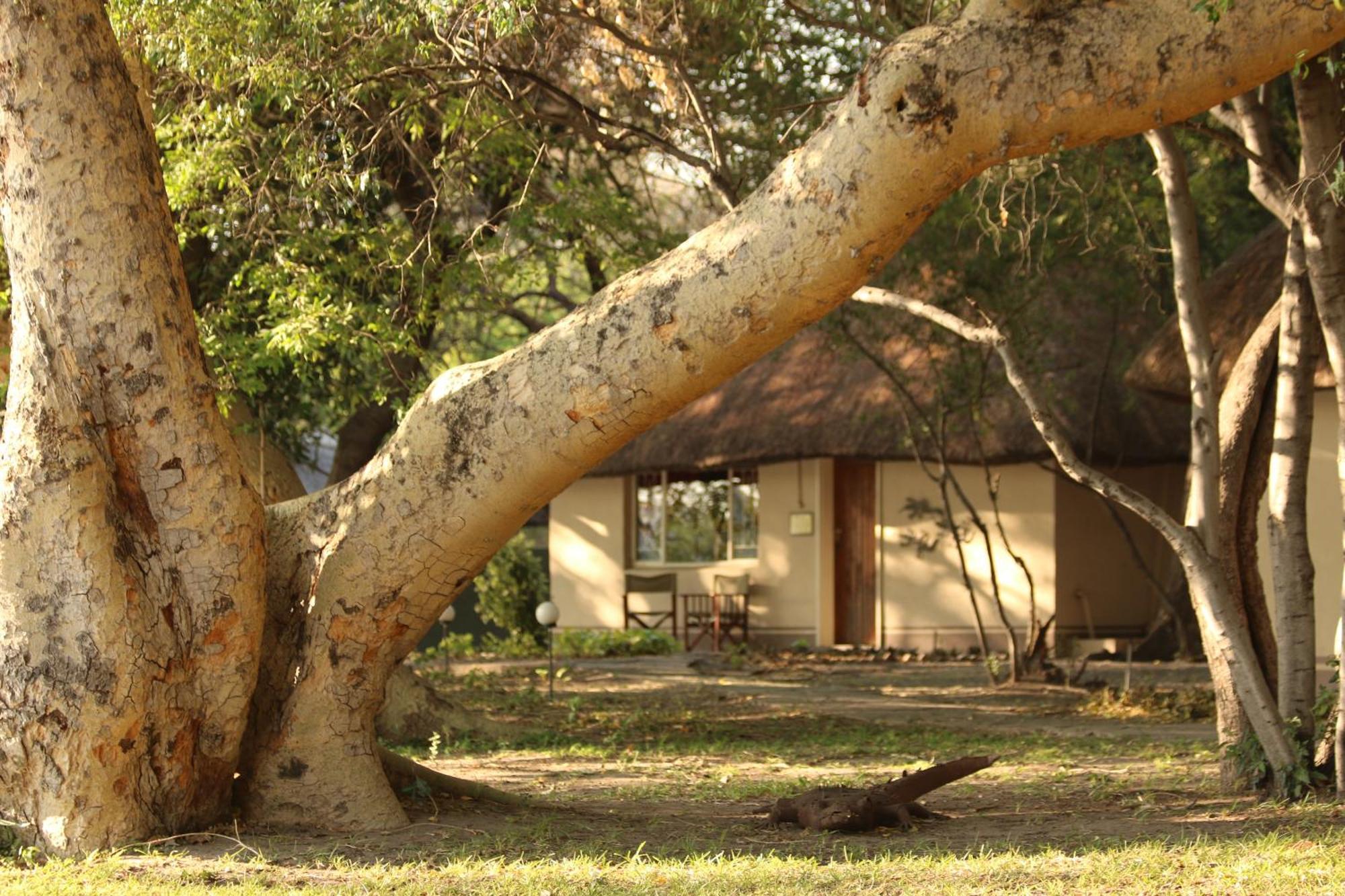 Island Safari Lodge Maun Buitenkant foto