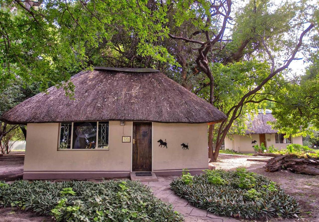 Island Safari Lodge Maun Buitenkant foto